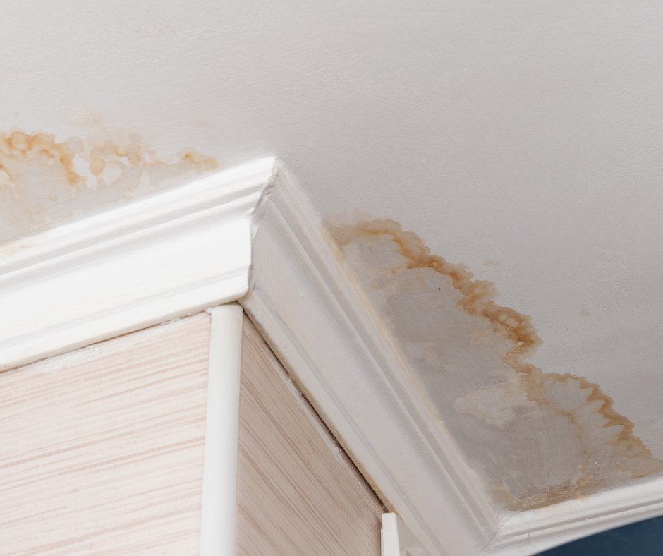 Water damage repair in Mississippi 